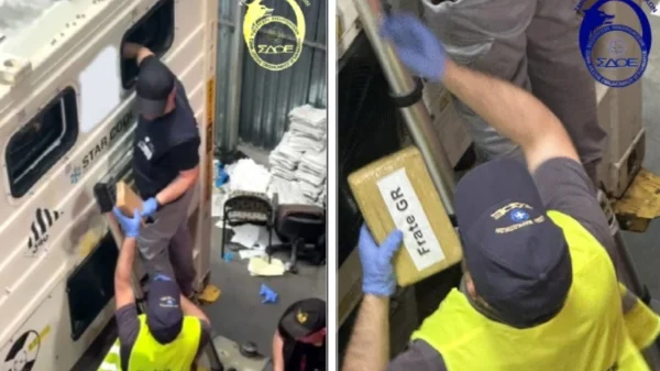 ΣΔΟΕ – Πειραιάς:  Εντοπίστηκαν 56 κοκαϊνης σε φορτίο με γαρίδες –  – Πάνω από 1,6 εκατ. ευρώ η αξία της