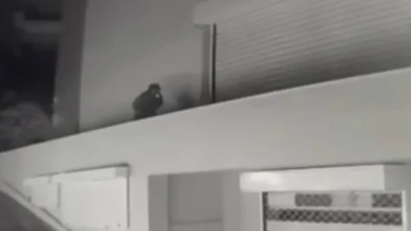 Γλυφάδα: 26χρονος ληστής στα χέρια της ΕΛΑΣ – Είχε «μπουκάρει» 3 φορές μέσα σε 2 ημέρες στην ίδια εταιρεία με λεία 130.000 ευρώ – Βίντεο – ντοκουμέντο