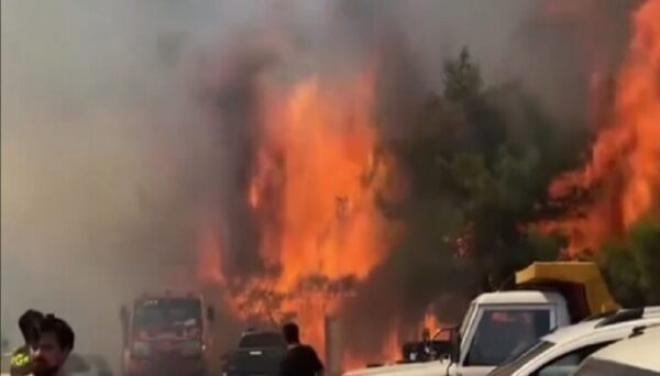 Τουρκία: Πύρινη κόλαση σε πολλά μέτωπα – Μάχη με τις φλόγες στη Σμύρνη, απειλούνται σπίτια (βίντεο)