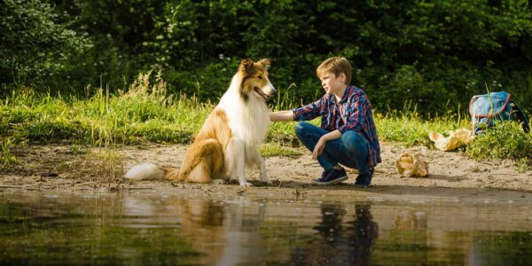 «Ζώα και συναισθήματα»: Το νέο αφιέρωμα του ERTFLIX – Από το Σάββατο 5 έως και Πέμπτη 17.07.2025