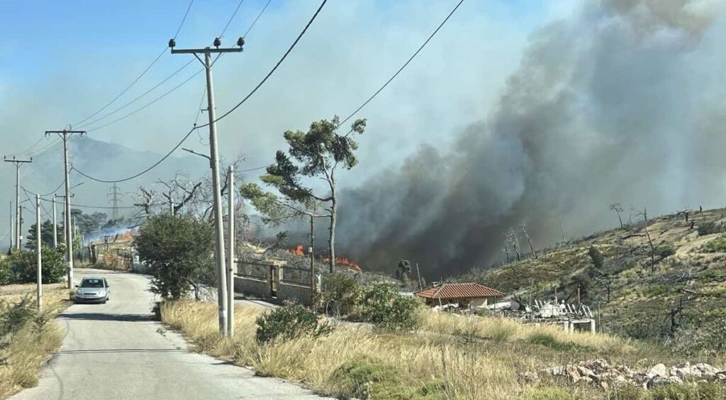 Φωτιά στη Δροσοπηγή Αφιδνών, καίγονται σπίτια στο Κρυονέρι – Μάχη με τις φλόγες σε Κύθηρα, Μεσσηνία, Εύβοια και Κοζάνη – Βίντεο