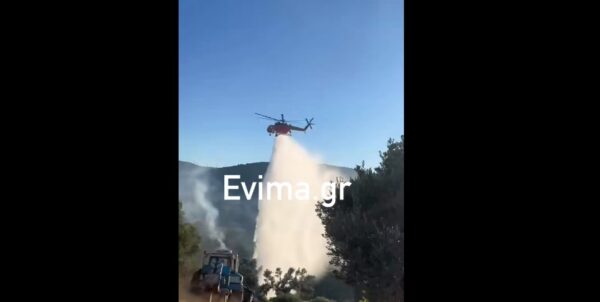 Φωτιά στην Εύβοια: Βελτιωμένη η εικόνα – Σε επιφυλακή η Πυροσβεστική – Κάηκαν πάνω από 500 στρέμματα