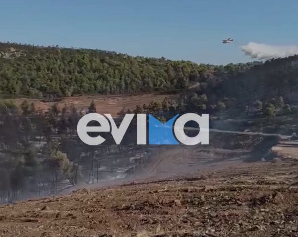 Χωρίς ενεργό μέτωπο η φωτιά στην Εύβοια αλλά με συνεχείς αναζωπυρώσεις – Στάχτη εκατοντάδες στρέμματα δάσους και καλλιέργειες