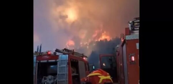 Μεγάλη φωτιά στην ορεινή Κορινθία: Φλέγεται ο Φενεός, μηνύματα του 112 για εκκενώσεις οικισμών – Δύο προσαγωγές υπόπτων για εμπρησμό (βίντεο)