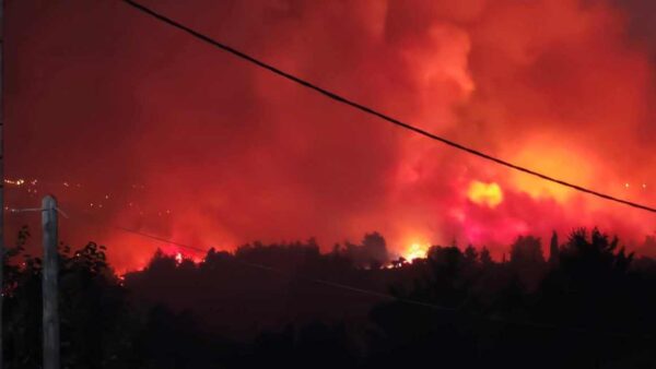 Πύρινη κόλαση στον Ωρωπό: Μάχη να μην περάσει η φωτιά σε Συκάμινο και οικισμό Ωρωπού – Βίντεο