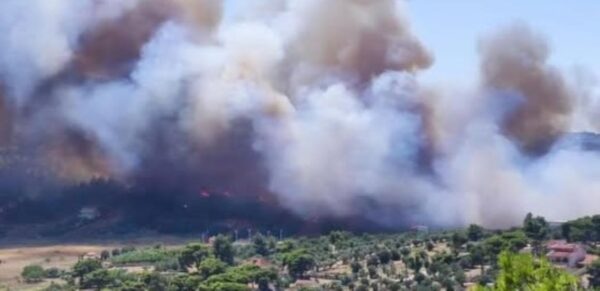 Φωτιά σε Ραφήνα και Πικέρμι: Προς Σπάτα κινείται το πύρινο μέτωπο –Καίγονται σπίτια, μηνύματα του 112 για εκκενώσεις οικισμών, μάχη των πυροσβεστών