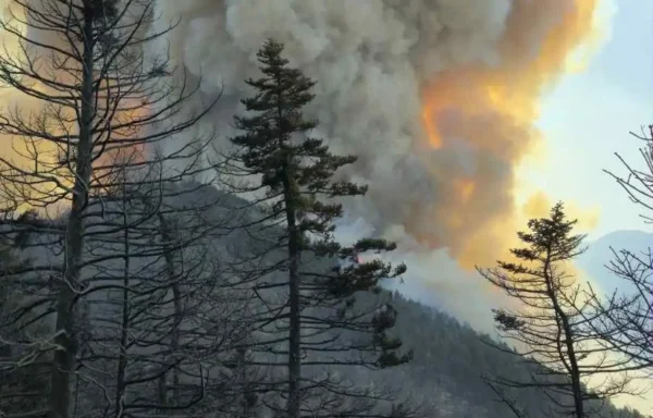Ορεινή Κορινθία: Μεγάλη αναζωπύρωση της φωτιάς στον Φενεό – 112 για εκκένωση οικισμών (βίντεο)