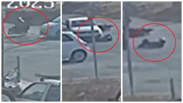 Σοκαριστικό βίντεο από τροχαίο στην Ιεράπετρα: Οδηγός μηχανής πέφτει στο έδαφος μετά από σύγκρουση και δεύτερο ΙΧ περνάει από πάνω του!