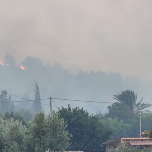 Η συγκλονιστική ανάρτηση του συγγραφέα Γιάννη Μακριδάκη από τη Χίο: «Ντροπή, οργή, αποκαΐδια και θάνατος»