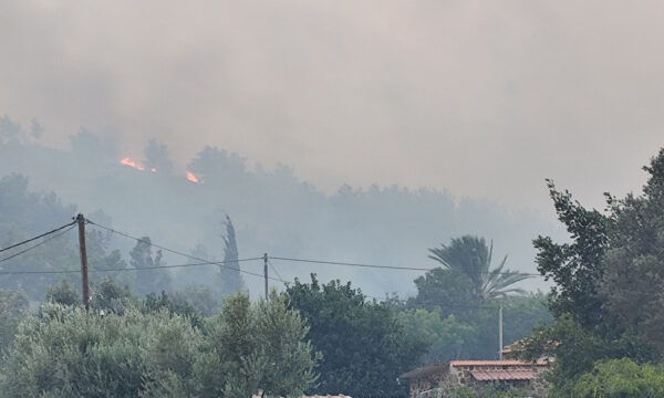 Η συγκλονιστική ανάρτηση του συγγραφέα Γιάννη Μακριδάκη από τη Χίο: «Ντροπή, οργή, αποκαΐδια και θάνατος»