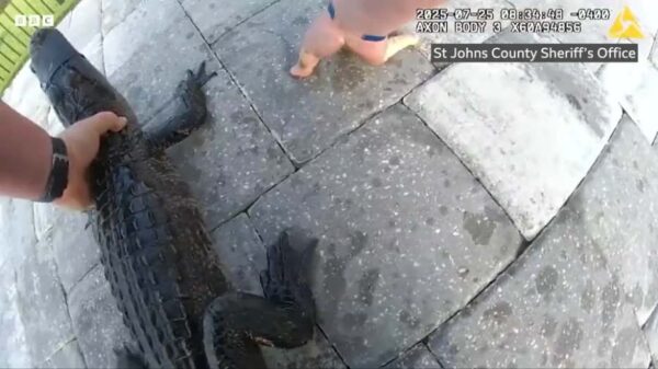 Φλόριντα: Αστυνομικός βγάζει με γυμνά χέρια αλιγάτορα από πισίνα σε σπίτι – Βίντεο