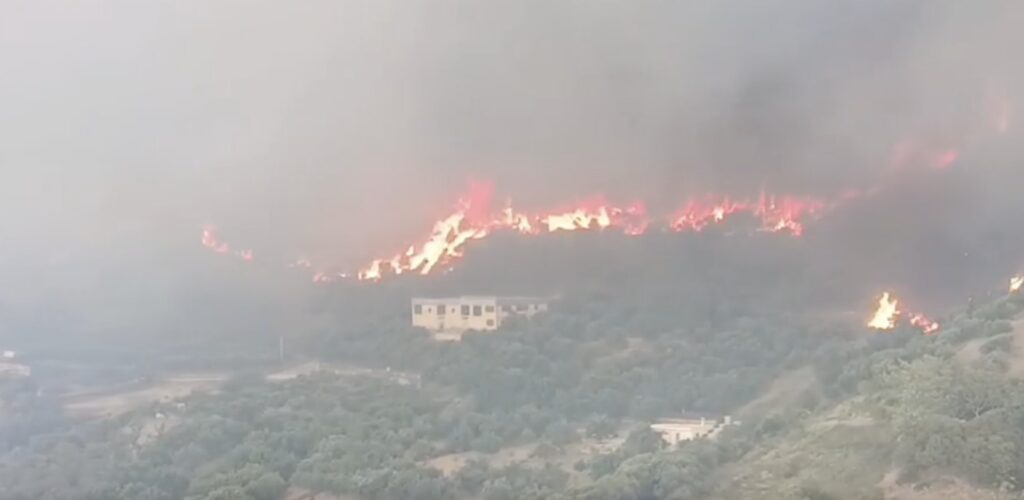 Φωτιά στην Αχαΐα – Στις αυλές των σπιτιών στην Αρόρη οι φλόγες – Μηνύματα 112 για εκκενώσεις