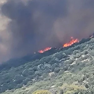 Φωτιά στη Κερατέα: Μήνυμα του 112 για εκκένωση από Δροσιά και Χάρβαλο προς Ανάβυσσο -Μεγάλη μάχη με τις φλόγες δίνουν οι πυροσβεστικές δυνάμεις (βίντεο)