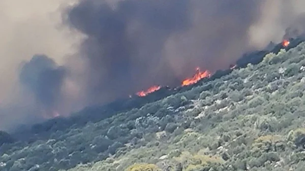 Φωτιά στη Κερατέα: Μήνυμα του 112 για εκκένωση από Δροσιά και Χάρβαλο προς Ανάβυσσο – Καίγονται σπίτια – Μεγάλη μάχη με τις φλόγες δίνουν οι πυροσβεστικές δυνάμεις (βίντεο)