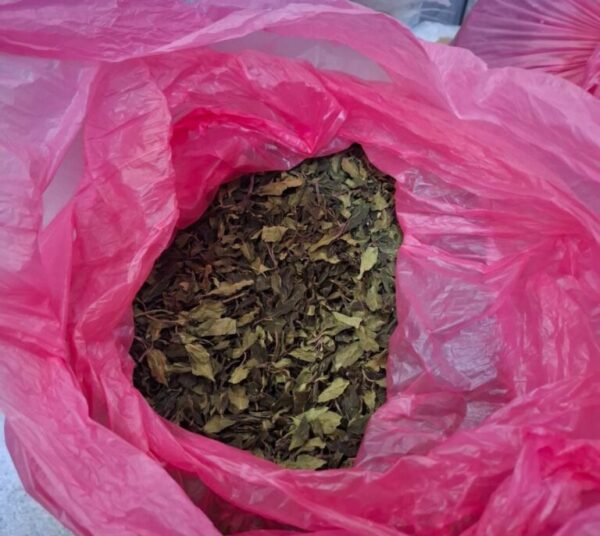 ΑΑΔΕ: Μισός τόνος «φυσικής κόκας», αξίας 1,5 εκατ. ευρώ κατασχέθηκε στο Ελ. Βενιζέλος