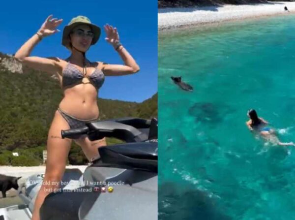 Παναγιώταρου και Αλεξανδράκη κολύμπησαν με γουρούνια στη θάλασσα (βίντεο)