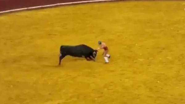 Λισαβώνα: Διάσημος Πορτογάλος ταυρομάχος, 22 ετών, σκοτώθηκε από τεράστιο ταύρο 500 κιλών μπροστά στο τρομοκρατημένο πλήθος – Βίντεο