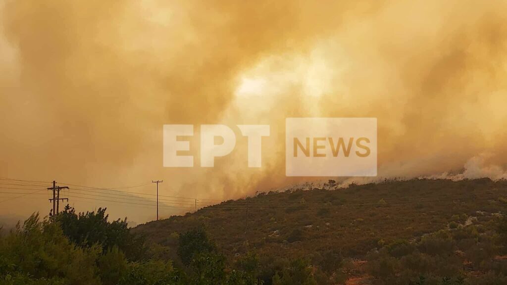 Μεγάλη πυρκαγιά στη Ζάκυνθο – Κάηκαν σπίτια – Πύρινα μέτωπα σε Βόνιτσα, Άρτα, Πρέβεζα (Βίντεο)