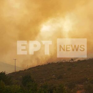 Μεγάλη πυρκαγιά στη Ζάκυνθο – Κάηκαν σπίτια – Πύρινα μέτωπα σε Βόνιτσα, Άρτα, Πρέβεζα (Βίντεο)