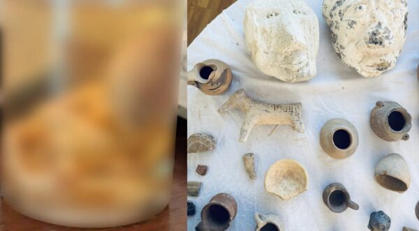 Έμβρυο σε γυάλινο μπουκάλι βρήκαν οι αστυνομικοί σε διαμέρισμα της Αττικής – Έκαναν έφοδο για αρχαιότητες – Δείτε φωτογραφίες