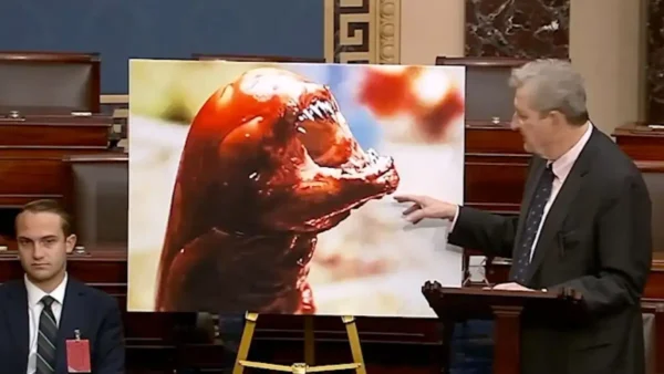 «Θα γίνετε Alien»: Γερουσιαστής από τη Λουιζιάνα προειδοποίησε τους Αμερικανούς να μην τρώνε κατεψυγμένες γαρίδες