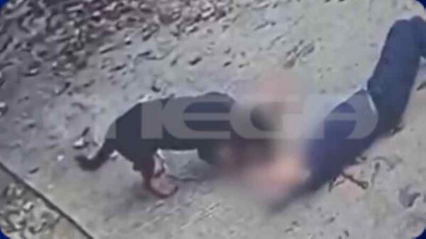 Καλαμάτα: Ροτβάιλερ κατασπάραξε τον κηδεμόνα του – Αστυνομικός σκότωσε τον σκύλο – Σοκαριστικό βίντεο