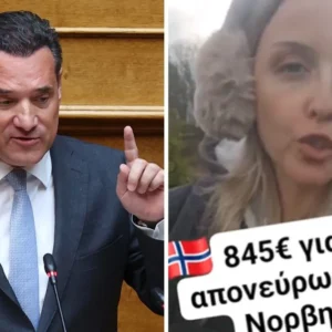 Απονεύρωση 845 ευρώ στη Νορβηγία: “Πάμφθηνες στην Ελλάδα οι ιατρικές πράξεις”, σχολιάζει ο Άδωνις Γεωργιάδης – Βίντεο