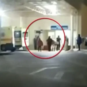 Χαλκίδα: Εμπλεκόμενος στη δολοφονία του 23χρονου, κατηγορούμενος για την φονική  επίθεση στον Λυγγερίδη