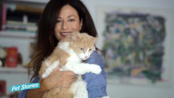 Pet Stories: Η Νίκη Ζαρκάδα συναντά Δωροθέα Μερκούρη – Το Σάββατο, στις 12.30 (Τρέϊλερ)