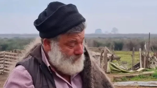 «Τα φύλαξα από την πείνα και τους λύκους», λέει κλαίγοντας κτηνοτρόφος για τα 450 πρόβατα του που θα θανατωθούν λόγω της ευλογιάς (βίντεο)