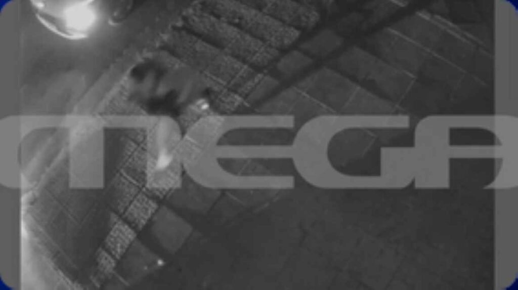 «Σβήσε το όχημα,  κάτω,  τα χέρια στο ταμπλώ» – Καρέ –καρέ η επεισοδιακή σύλληψη του 16χρονου γιού του Μιχάλη Κατρίνη μετά από καταδίωξη στο Χαλάνδρι (βίντεο)