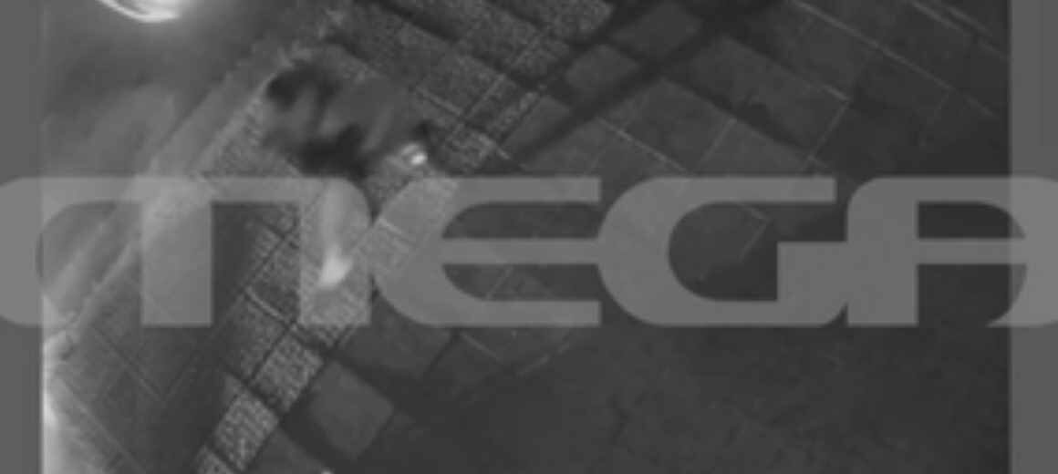 «Σβήσε το όχημα,  κάτω,  τα χέρια στο ταμπλώ» – Καρέ –καρέ η επεισοδιακή σύλληψη του 16χρονου γιού του Μιχάλη Κατρίνη μετά από καταδίωξη στο Χαλάνδρι (βίντεο)