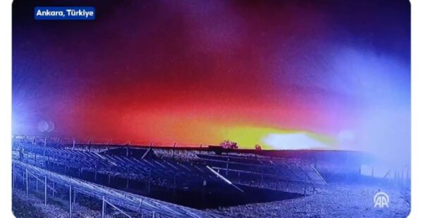 Συντριβή αεροσκάφους στην Τουρκία: Μία Ελληνίδα αεροσυνοδός  ανάμεσα στους νεκρούς της αεροπορικής τραγωδίας