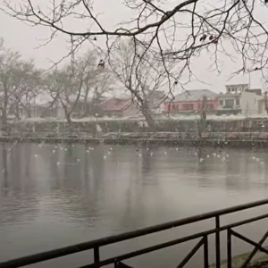 Στα «λευκά» τα Ιωάννινα: Χιονίζει στο κέντρο της πόλης, όμορφες χειμωνιάτικες  εικόνες από τα ορεινά της Κόνιτσας