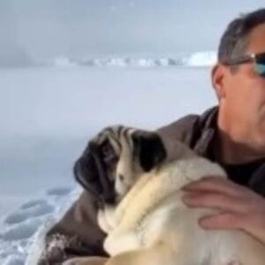 Με βίντεο ΑΙ ο Καμμένος στα χιόνια ειρωνεύεται τους Ευρωπαίους για τη Γροιλανδία