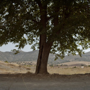 Διεθνής διάκριση στο Φεστιβάλ Βερολίνου για την ταινία «Λύτρωση» συμπαραγωγής ΕΡΤ