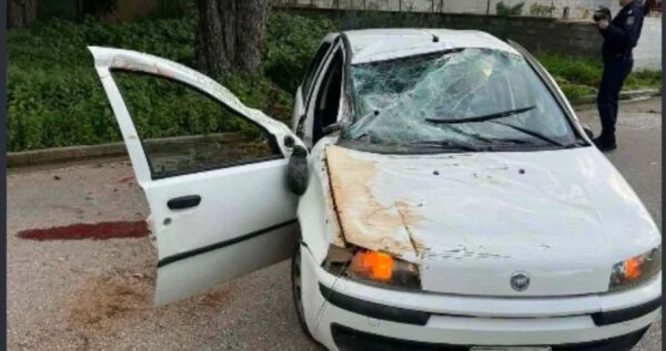 Σοβαρό τροχαίο με 15χρονο οδηγό στη Λούτσα: Ένας νεκρός και δύο τραυματίες, όλοι ανήλικοι – Βίντεο από το σημείο του δυστυχήματος