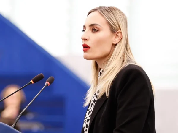 Παρέμβαση Μελέτη  στο Ευρωπαϊκό Κοινοβούλιο για την σύγχρονη δολοφονία χαρακτήρα στο διαδίκτυο – «Θέλει ριζικές κι άμεσες λύσεις και θα δούμε μετά που θα κρυφτούν οι κοτούλες.»