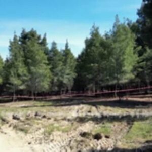 Θρίλερ με τη σορό στην «κόκκινη βαλίτσα» στη Χαλκιδική: «Φοβάμαι πως είναι η κόρη μου» , λέει πατέρας αγνοούμενης (βίντεο)