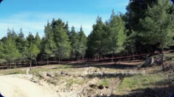 Θρίλερ με τη σορό στην «κόκκινη βαλίτσα» στη Χαλκιδική: «Φοβάμαι πως είναι η κόρη μου» , λέει πατέρας αγνοούμενης (βίντεο)