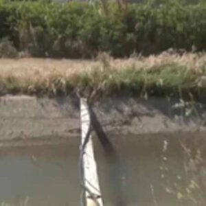 Σέρρες: Από ηλεκτροπληξία & πνιγμό ο θάνατος του 10χρονου σε αρδευτικό κανάλι – “Φώναξε βοήθεια δεν προλάβαμε να το σώσουμε”, λέει ο θείος του (βίντεο)