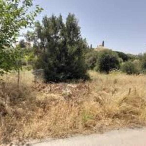 Αιτήματα παράτασης της προθεσμίας καθαρισμού οικοπέδων από πλήθος δημοτών σε πολλούς δήμους αλλά και από την ΠΟΜΙΔΑ