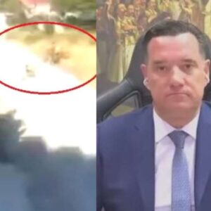 Άδωνις Γεωργιάδης: Υποψήφια βουλευτής της Πλεύσης Ελευθερίας η 57χρονη που έβαλε φωτιά σε ξερά χόρτα στην Κορινθία – Το βίντεο που την “έκαψε”