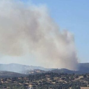 Φωτιά στην Εύβοια: Μάχη με τις φλόγες  σε δάσος στον Αλμυροπόταμο – Εκκενώνονται Μεσοχώρια και Ραπταίοι – «Απομακρυνθείτε προς Στύρα»