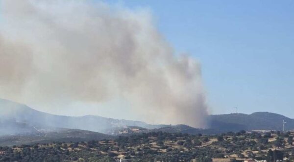 Φωτιά στην Εύβοια: Μάχη με τις φλόγες  σε δάσος στον Αλμυροπόταμο – Εκκενώνονται Μεσοχώρια και Ραπταίοι – «Απομακρυνθείτε προς Στύρα»