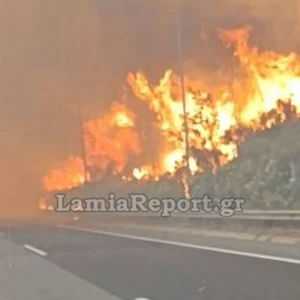 Βοιωτία: Έκλεισε η Εθνική  Αθηνών – Λαμίας λόγω της μεγάλης φωτιάς στο Ακραίφνιο (βίντεο)