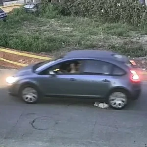 Γαστούνη: Ταυτοποιήθηκε η οδηγός του ΙΧ που πάτησε και σκότωσε τον σκύλο –  Είναι κάτοικος της περιοχής- Τι υποστηρίζει