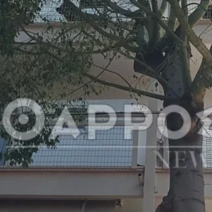 Καλαμάτα:  Συνελήφθη 41χρονος που σκότωσε τη γυναίκα του ενώ στο διπλανό δωμάτιο ήταν τα ανήλικα παιδιά τους – Ομολόγησε το άγριο έγκλημα (βίντεο)