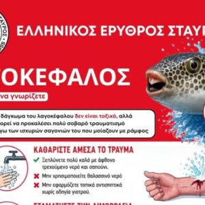 Ελληνικός Ερυθρός Σταυρός: Οδηγίες για την αντιμετώπιση δαγκώματος από λαγοκέφαλο