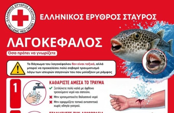 Ελληνικός Ερυθρός Σταυρός: Οδηγίες για την αντιμετώπιση δαγκώματος από λαγοκέφαλο